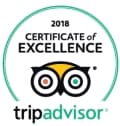 TripAdvisor award badge